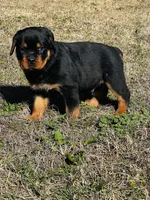 processed/e403de1b-0d47-46fa-9176-88c354d6d17e/listing/e2845ad5-7a08-429e-befd-a250a0c6df22/6cd2a3e4-35b2-4c12-b72e-8623c60d35b3