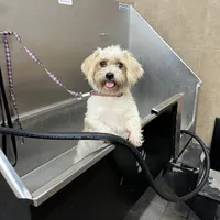 processed/e40552c9-0045-447e-9578-99242727add8/facility/0889c8a7-3077-480c-a6c8-62517edc7f1a