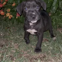 processed/e40552c9-0045-447e-9578-99242727add8/facility/26a406ab-248e-4770-aad5-f7aad75f5145