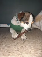 processed/e40552c9-0045-447e-9578-99242727add8/facility/2e73d05a-d647-4b0c-9e6b-feeead880e03