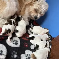 processed/e40552c9-0045-447e-9578-99242727add8/facility/3646fd8b-4101-4116-8fdd-7926107f98c7