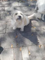 processed/e40552c9-0045-447e-9578-99242727add8/facility/9f34f4e6-2980-43a6-8162-d806c804e892