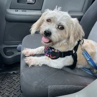 processed/e40552c9-0045-447e-9578-99242727add8/facility/a196849c-b745-42f1-b9b3-458bb09b9741