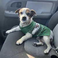 processed/e40552c9-0045-447e-9578-99242727add8/facility/a51182a6-8308-45d6-b2df-3d9904017a44