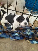 processed/e40552c9-0045-447e-9578-99242727add8/facility/c8d08540-a15d-454b-a25f-be7fa7753379