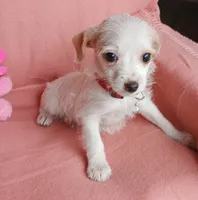 processed/e40cc599-fc0e-4dc3-ae62-e5fbfa684266/listing/48e5fe24-c15c-42f7-b2bf-126c484f004a/0eff0a5b-e2a8-4425-b7be-f2b7edc28791