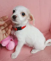 processed/e40cc599-fc0e-4dc3-ae62-e5fbfa684266/listing/48e5fe24-c15c-42f7-b2bf-126c484f004a/2a351965-3015-4af0-9add-159573412966