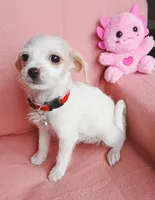 processed/e40cc599-fc0e-4dc3-ae62-e5fbfa684266/listing/48e5fe24-c15c-42f7-b2bf-126c484f004a/34edc1c4-b60b-46bf-9023-f5b80e5aafa0