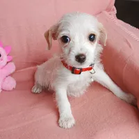 processed/e40cc599-fc0e-4dc3-ae62-e5fbfa684266/listing/48e5fe24-c15c-42f7-b2bf-126c484f004a/65267232-57ff-49fa-998e-6ea1c9d52ce6