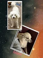 processed/e40cc599-fc0e-4dc3-ae62-e5fbfa684266/listing/48e5fe24-c15c-42f7-b2bf-126c484f004a/c18a0d94-a002-4bdd-b07c-0f165ab25794