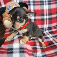 processed/e40cc599-fc0e-4dc3-ae62-e5fbfa684266/listing/cf5e9cc0-405b-4436-91fe-06a0da576d5a/28846bb8-84ce-4554-b24d-658af622e47d