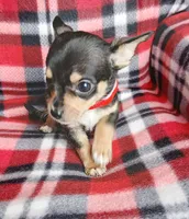 processed/e40cc599-fc0e-4dc3-ae62-e5fbfa684266/listing/cf5e9cc0-405b-4436-91fe-06a0da576d5a/66213d16-5e10-4020-b34a-9710507842be