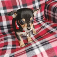 processed/e40cc599-fc0e-4dc3-ae62-e5fbfa684266/listing/cf5e9cc0-405b-4436-91fe-06a0da576d5a/d2a080fd-df68-4948-9eb7-ff5122f053b2