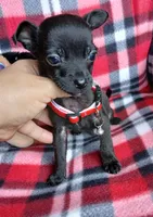 processed/e40cc599-fc0e-4dc3-ae62-e5fbfa684266/listing/d2f63929-edb5-466b-8be4-c9f10d80b76e/492337cd-2fb0-412c-89f9-ea23bf1bc907