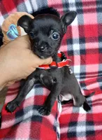 processed/e40cc599-fc0e-4dc3-ae62-e5fbfa684266/listing/d2f63929-edb5-466b-8be4-c9f10d80b76e/760c50cf-f093-4393-81ac-a563462ba8c2