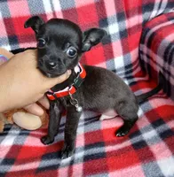 processed/e40cc599-fc0e-4dc3-ae62-e5fbfa684266/listing/d2f63929-edb5-466b-8be4-c9f10d80b76e/c17b1650-f274-4e41-abf3-4fadad58b3dd