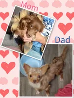 processed/e40cc599-fc0e-4dc3-ae62-e5fbfa684266/listing/d2f63929-edb5-466b-8be4-c9f10d80b76e/d84216d4-89f8-4a0b-93cb-45d2d3173bc6