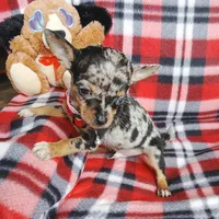 processed/e40cc599-fc0e-4dc3-ae62-e5fbfa684266/listing/dc80527e-4d09-4634-b1f8-97d017da9c40/171529fc-fed0-40c0-868d-db8f8096bbcb