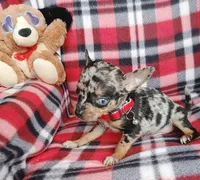 processed/e40cc599-fc0e-4dc3-ae62-e5fbfa684266/listing/dc80527e-4d09-4634-b1f8-97d017da9c40/d4a389f4-c1d4-4cda-8cf2-2b981f70a68f