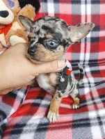 processed/e40cc599-fc0e-4dc3-ae62-e5fbfa684266/listing/dc80527e-4d09-4634-b1f8-97d017da9c40/edacde60-a978-4fa0-a281-5ffdd2a603d7