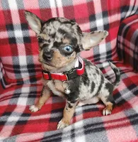 processed/e40cc599-fc0e-4dc3-ae62-e5fbfa684266/listing/dc80527e-4d09-4634-b1f8-97d017da9c40/ef5ef840-02a5-4d87-9f57-1d604d164df1