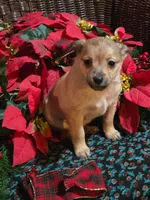 processed/e4187151-7d8b-4283-a8ba-db7599a28cac/listing/f04e343b-563c-45d8-8039-9edcf1bf49e1/3c450ed8-0183-4c34-bcb6-546516f9e64f