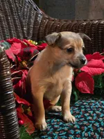 processed/e4187151-7d8b-4283-a8ba-db7599a28cac/listing/f04e343b-563c-45d8-8039-9edcf1bf49e1/438dcf64-54b0-4c57-989d-3e0f6fc42087