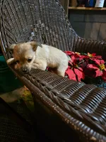 processed/e4187151-7d8b-4283-a8ba-db7599a28cac/listing/f04e343b-563c-45d8-8039-9edcf1bf49e1/5ef31897-0910-45af-afaf-9850a9e5e769