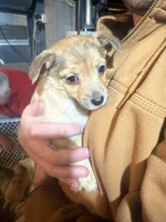 processed/e4187151-7d8b-4283-a8ba-db7599a28cac/listing/f04e343b-563c-45d8-8039-9edcf1bf49e1/7de1ce67-6cd9-48b0-bcf0-7028e7c105b0