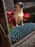 processed/e4187151-7d8b-4283-a8ba-db7599a28cac/listing/f04e343b-563c-45d8-8039-9edcf1bf49e1/8aea24ab-e738-4464-b906-3a2d2eb83843