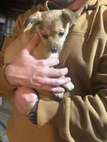 processed/e4187151-7d8b-4283-a8ba-db7599a28cac/listing/f04e343b-563c-45d8-8039-9edcf1bf49e1/b859a85c-b76a-4456-8cfa-5eaf6f5216c4