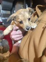 processed/e4187151-7d8b-4283-a8ba-db7599a28cac/listing/f04e343b-563c-45d8-8039-9edcf1bf49e1/f8a4dc50-db95-48cc-84c4-6f46539b0f8e