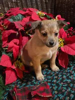 processed/e4187151-7d8b-4283-a8ba-db7599a28cac/listing/f04e343b-563c-45d8-8039-9edcf1bf49e1/fa0163d6-ace0-4159-b677-b96a68d494c7