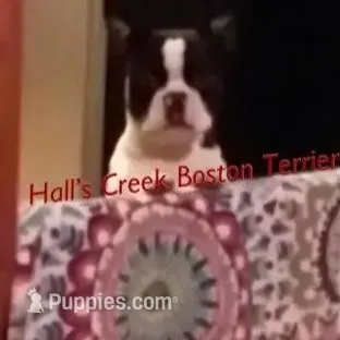 processed/e4248f4d-9b74-4805-816b-2f69bcd0d46b/facility/021a9534-3f40-4fec-bed4-f6b39b89f434