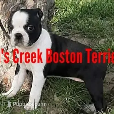 processed/e4248f4d-9b74-4805-816b-2f69bcd0d46b/facility/5021d26a-65d6-4658-91e0-1d14c8fd6e73