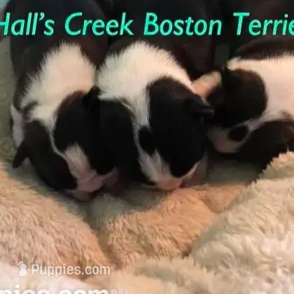 processed/e4248f4d-9b74-4805-816b-2f69bcd0d46b/facility/60072ff8-d4c6-49fb-8f9a-8ec95b2b94a3