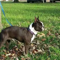 processed/e4248f4d-9b74-4805-816b-2f69bcd0d46b/facility/8a723f0c-4d91-4245-b392-4046ba91034b