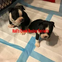 processed/e4248f4d-9b74-4805-816b-2f69bcd0d46b/facility/a0f50843-3d18-4fbc-b16c-9a231ab4a391