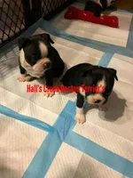 processed/e4248f4d-9b74-4805-816b-2f69bcd0d46b/facility/a0f50843-3d18-4fbc-b16c-9a231ab4a391