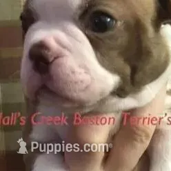 processed/e4248f4d-9b74-4805-816b-2f69bcd0d46b/facility/a4d60cdc-df99-427e-ae0b-331343b14109