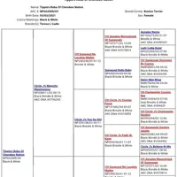 processed/e4248f4d-9b74-4805-816b-2f69bcd0d46b/facility/c0aa76a4-6785-4c2f-b24c-ab14abb21fad