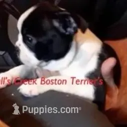 processed/e4248f4d-9b74-4805-816b-2f69bcd0d46b/facility/db64a35f-4886-4f1c-b614-c10326e54098