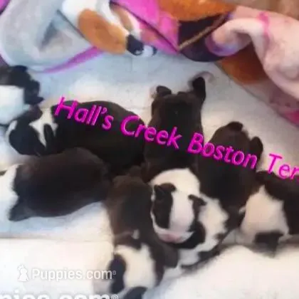 processed/e4248f4d-9b74-4805-816b-2f69bcd0d46b/facility/f4023807-362a-4536-9b29-830bd6e6cfba