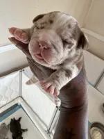 processed/e42b5751-56b3-4cde-880f-940cc965157e/listing/2e6170f0-80f4-43b2-9d2b-132b1444f4e6/05632f58-7a59-4a86-9894-e622eee240f3