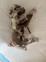 processed/e42b5751-56b3-4cde-880f-940cc965157e/listing/2e6170f0-80f4-43b2-9d2b-132b1444f4e6/0f74e630-8eff-4cbc-9cec-2abd19ea367f