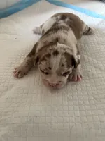 processed/e42b5751-56b3-4cde-880f-940cc965157e/listing/2e6170f0-80f4-43b2-9d2b-132b1444f4e6/55f43fce-97b0-47ab-bb20-150b59c164b6