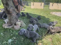 processed/e42e2817-1d5c-4bc9-b6e3-f4277654427c/facility/348a33cc-1aa7-4e54-babf-21760568080d