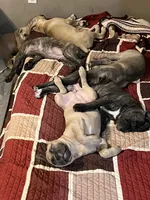 processed/e42e2817-1d5c-4bc9-b6e3-f4277654427c/facility/5a74e7d2-b327-442a-8772-f7297ce08757