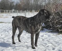 processed/e42e2817-1d5c-4bc9-b6e3-f4277654427c/listing/486de4ae-7859-46ea-990a-04181172584e/5f3b9e60-ef97-4172-9ef9-21966a63fe29