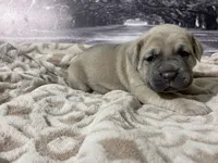 processed/e42e2817-1d5c-4bc9-b6e3-f4277654427c/listing/486de4ae-7859-46ea-990a-04181172584e/b5b5b92d-20ea-42d6-8091-900b61aeb242